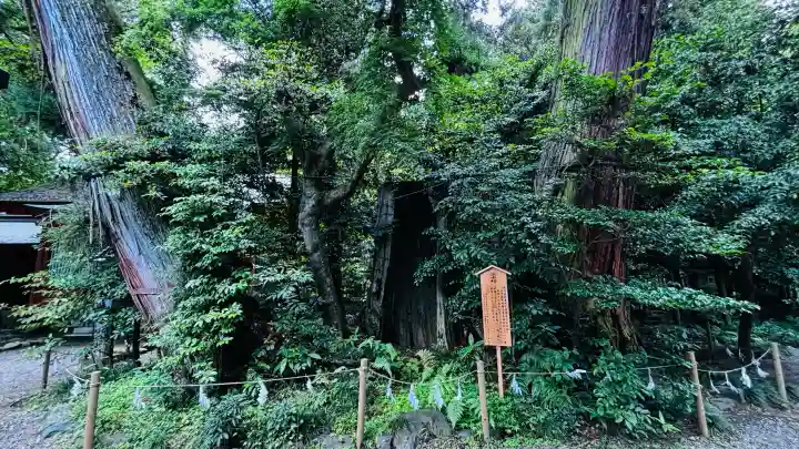 香取神宮(千葉県)