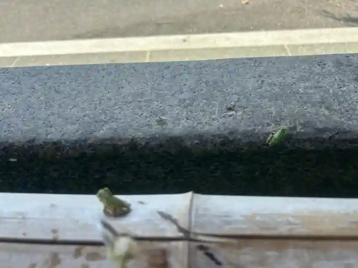 桑野神社の{uncategorized: "未分類", other: "その他", undefined: "問題あり", building: "その他建物", grave: "お墓", sacred_gate: "鳥居", guardian: "狛犬", statue: "像", buddha: "仏像", history: "歴史", nature: "自然", garden: "庭園", animal: "動物", pagoda: "塔", temizu: "手水舎", mountain_gate: "山門・神門", sanctuary: "本殿・本堂", subordinate: "末社・摂社", art: "芸術", scenery: "景色", jizo: "地蔵", ema: "絵馬", goshuin: "御朱印", omikuji: "おみくじ", items: "授与品その他", amulet: "お守り", goshuincho: "御朱印帳", eats: "食事", festival: "お祭り", votive_dance: "神楽", shichigosan: "七五三参", wedding: "結婚式", experience: "体験その他", initially: "初詣", around: "周辺", anti_infection: "感染症対策"}