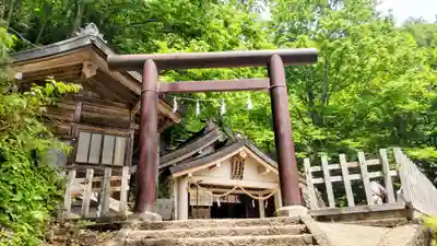 戸隠神社奥社(長野県)