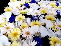 金峯神社(新潟県)