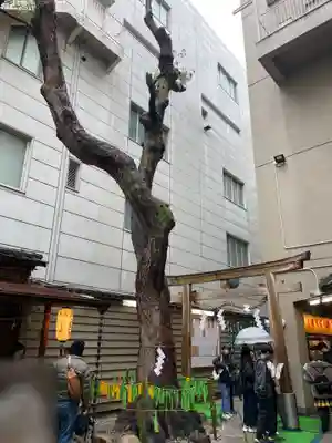 少彦名神社(大阪府)
