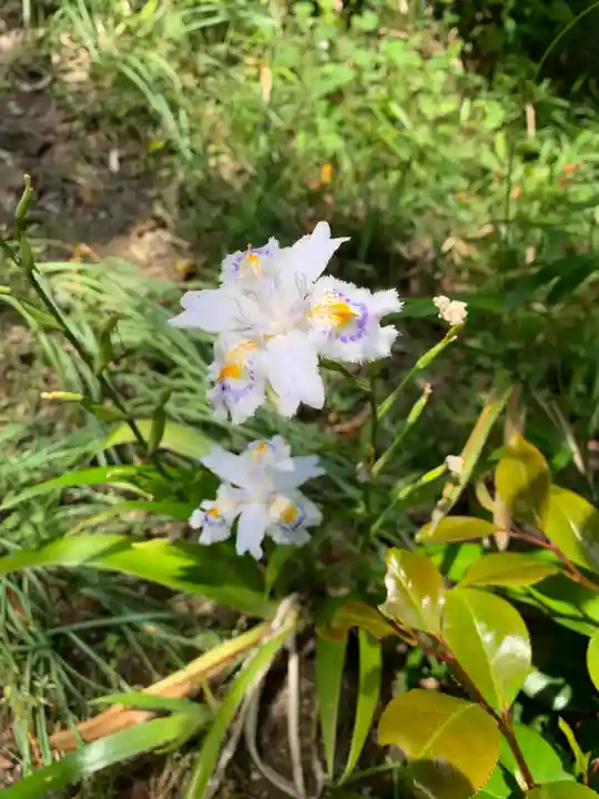 大六天麻王神社(福島県)