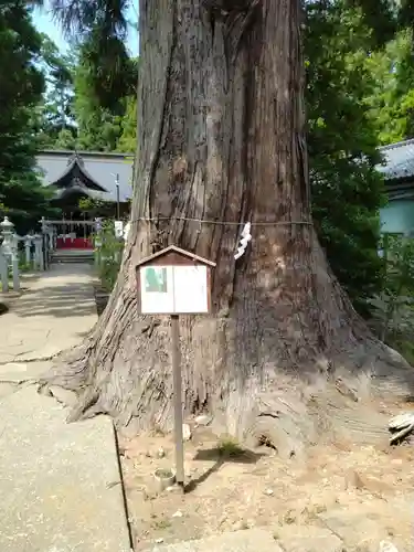 涼ケ岡八幡神社(福島県)