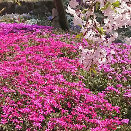 寿量山　速成寺の自然
