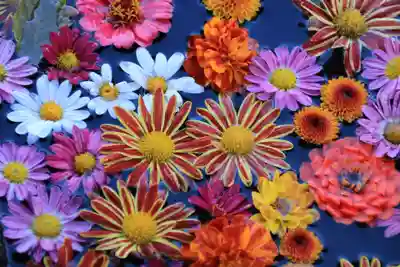 大鏑神社の手水舎