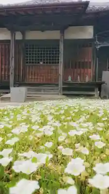 菩提寺のその他建物