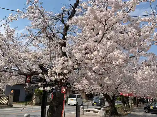 小幡八幡宮の自然