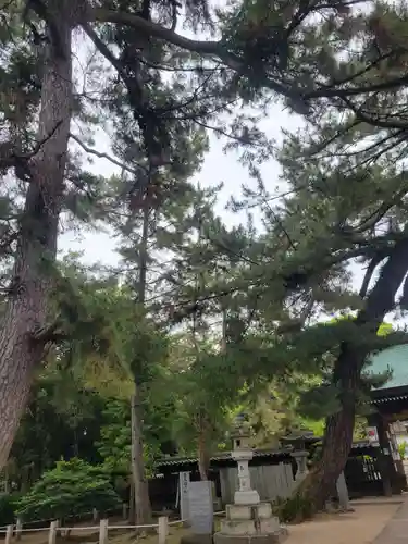雄郡神社(愛媛県)