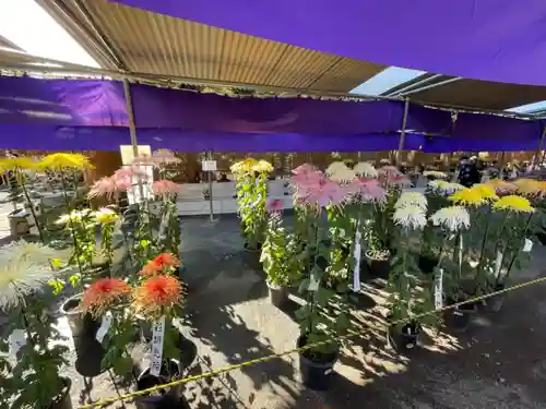 喜多院(埼玉県)