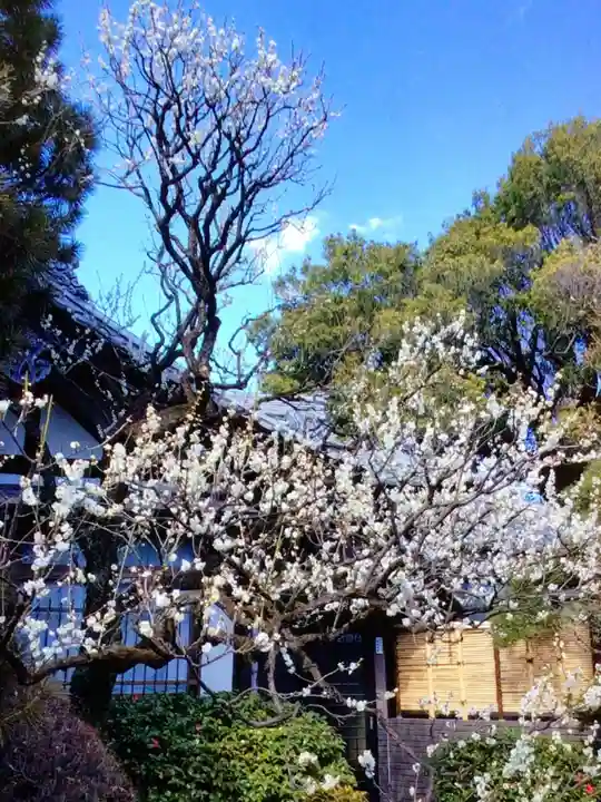 福蔵院(東京都)