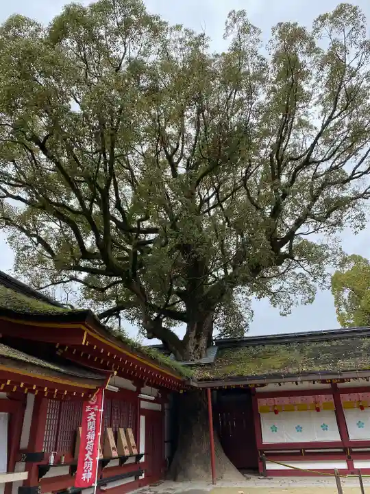 太宰府天満宮の自然