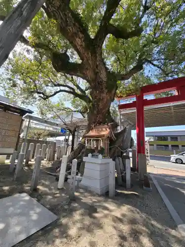 石津神社の{uncategorized: "未分類", other: "その他", undefined: "問題あり", building: "その他建物", grave: "お墓", sacred_gate: "鳥居", guardian: "狛犬", statue: "像", buddha: "仏像", history: "歴史", nature: "自然", garden: "庭園", animal: "動物", pagoda: "塔", temizu: "手水舎", mountain_gate: "山門・神門", sanctuary: "本殿・本堂", subordinate: "末社・摂社", art: "芸術", scenery: "景色", jizo: "地蔵", ema: "絵馬", goshuin: "御朱印", omikuji: "おみくじ", items: "授与品その他", amulet: "お守り", goshuincho: "御朱印帳", eats: "食事", festival: "お祭り", votive_dance: "神楽", shichigosan: "七五三参", wedding: "結婚式", experience: "体験その他", initially: "初詣", around: "周辺", anti_infection: "感染症対策"}