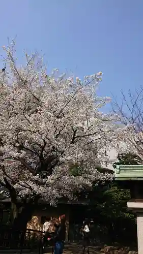 金王八幡宮の自然