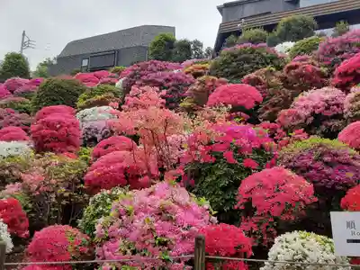根津神社(東京都)