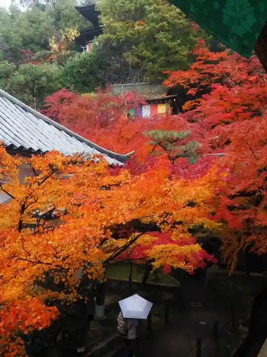 禅林寺(永観堂)(京都府)