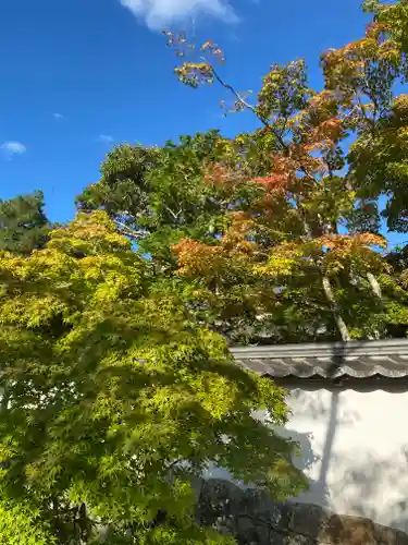 満願寺(兵庫県)