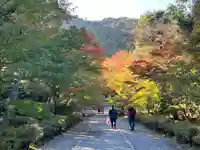 二尊院(京都府)