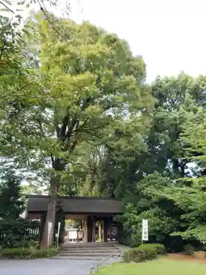 阿佐ヶ谷神明宮(東京都)