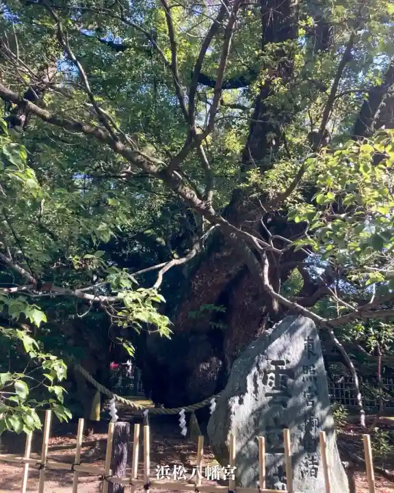 浜松八幡宮(静岡県)
