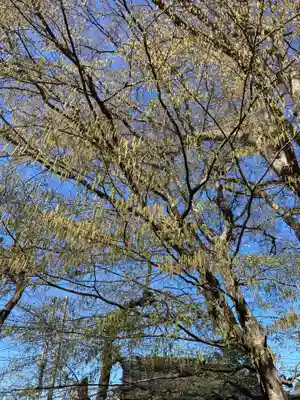 白岡八幡神社(埼玉県)