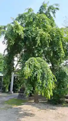 香取神社(茨城県)