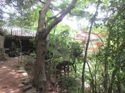 圓教寺(兵庫県)