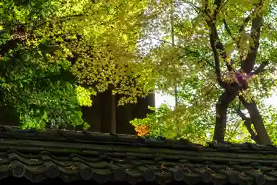 武水別神社(長野県)