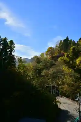 高龍神社(新潟県)