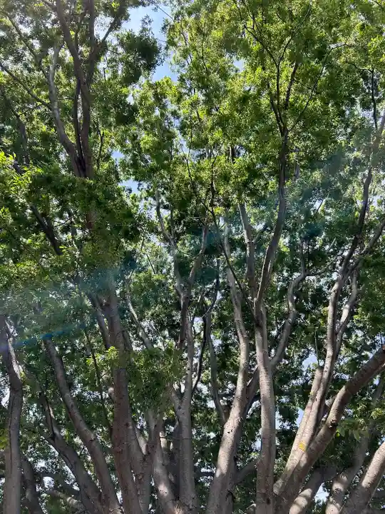 別雷皇太神(茨城県)