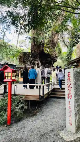 來宮神社(静岡県)