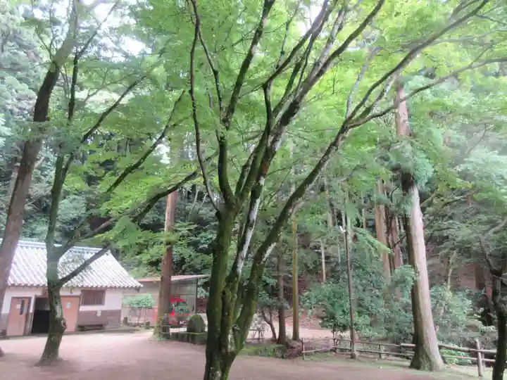 圓教寺(兵庫県)