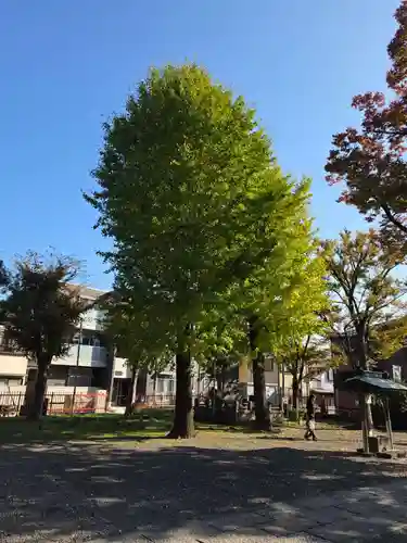 稲荷神社(神奈川県)