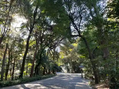 明治神宮(東京都)