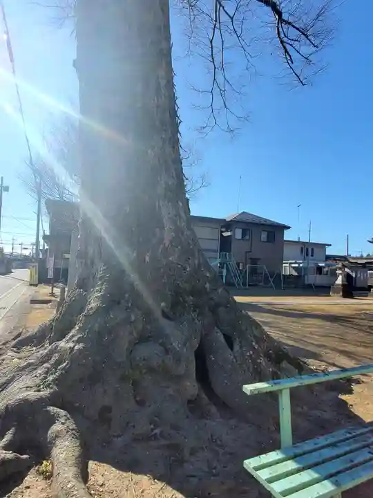 東箭神社の自然