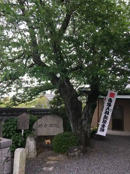 大智院(清水寺大智院)のその他建物
