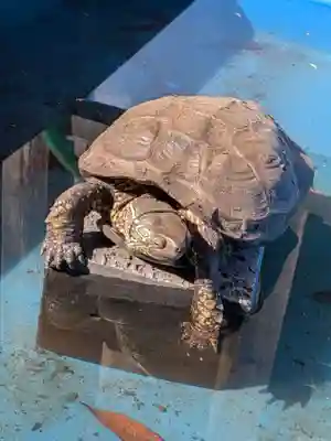 下谷神社(東京都)