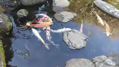 東覚寺(東京都)