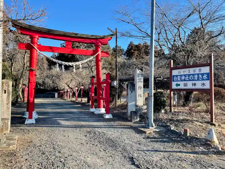 白髭神社(栃木県)