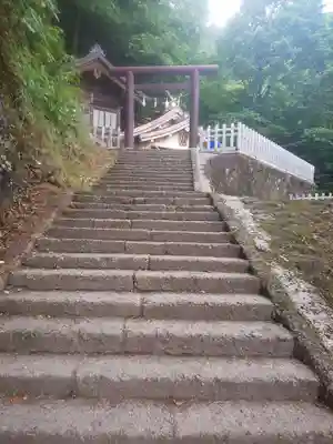 戸隠神社九頭龍社の鳥居