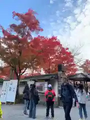 天龍寺(京都府)