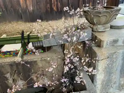 行願寺（革堂）(京都府)