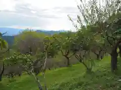 宝登山神社奥宮の自然