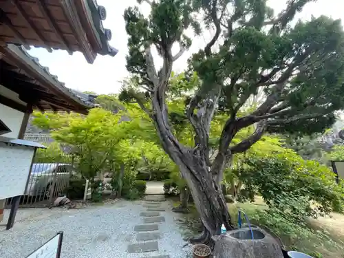 清水寺(長崎県)