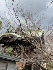 天神社の本殿