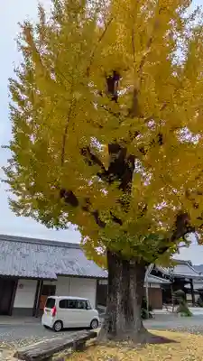 本願寺山科別院(京都府)