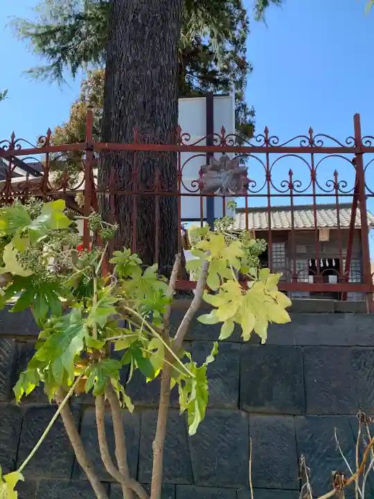 武蔵第六天神社(埼玉県)
