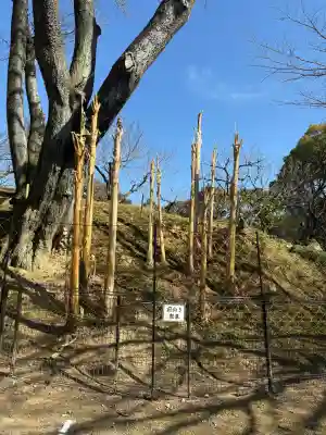 岩津天満宮の{uncategorized: "未分類", other: "その他", undefined: "問題あり", building: "その他建物", grave: "お墓", sacred_gate: "鳥居", guardian: "狛犬", statue: "像", buddha: "仏像", history: "歴史", nature: "自然", garden: "庭園", animal: "動物", pagoda: "塔", temizu: "手水舎", mountain_gate: "山門・神門", sanctuary: "本殿・本堂", subordinate: "末社・摂社", art: "芸術", scenery: "景色", jizo: "地蔵", ema: "絵馬", goshuin: "御朱印", omikuji: "おみくじ", items: "授与品その他", amulet: "お守り", goshuincho: "御朱印帳", eats: "食事", festival: "お祭り", votive_dance: "神楽", shichigosan: "七五三参", wedding: "結婚式", experience: "体験その他", initially: "初詣", around: "周辺", anti_infection: "感染症対策"}