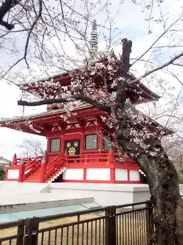 孝道山の御朱印