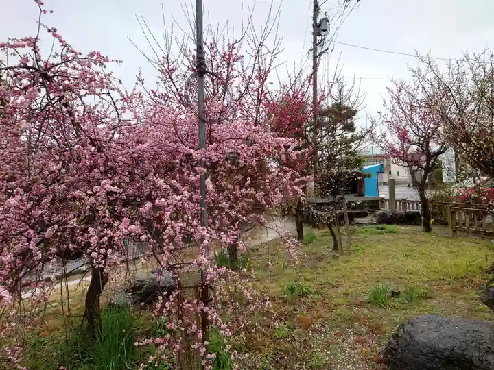 圓鏡寺(岐阜県)