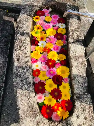 金井神社の手水舎